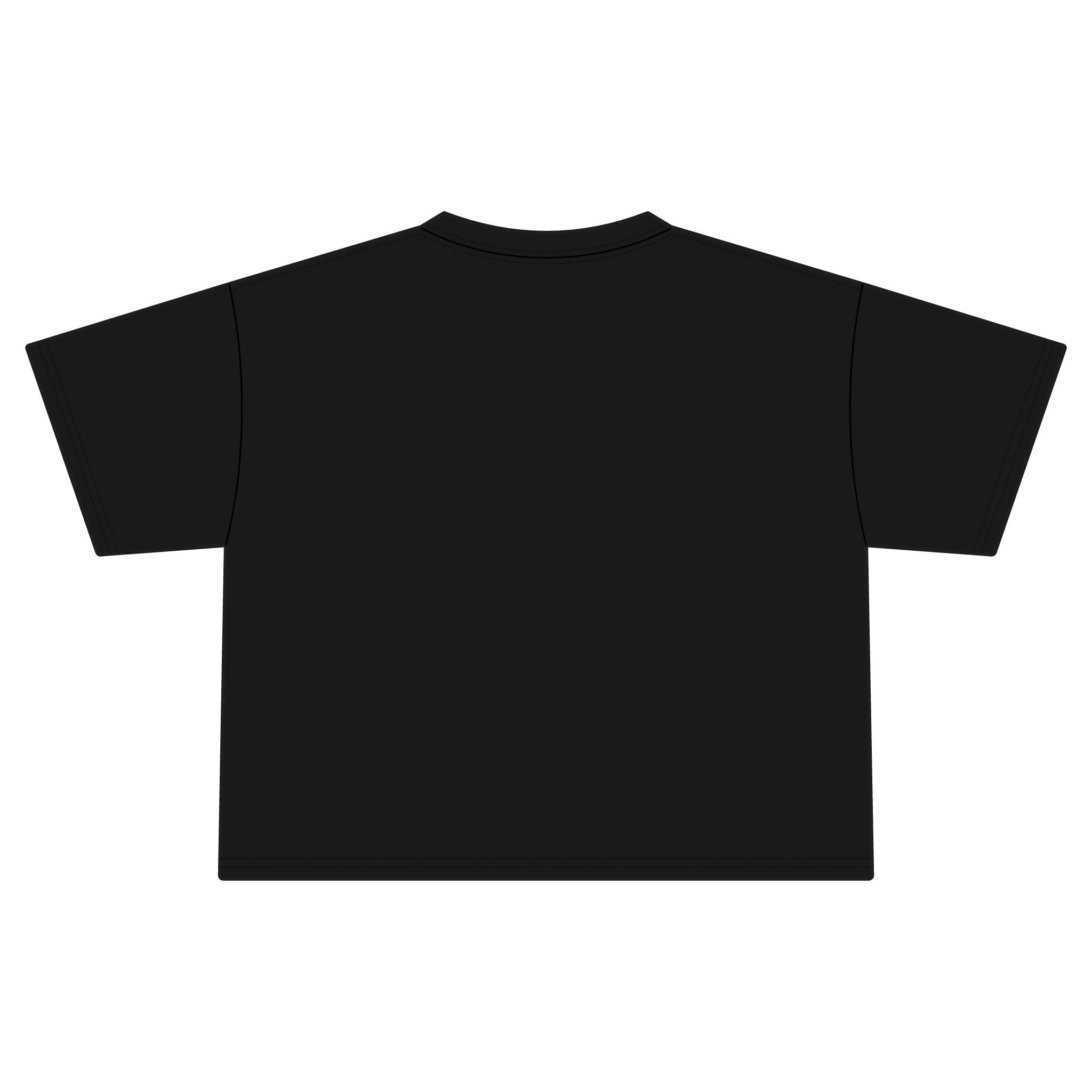 Women's Jersey Crop Tee
